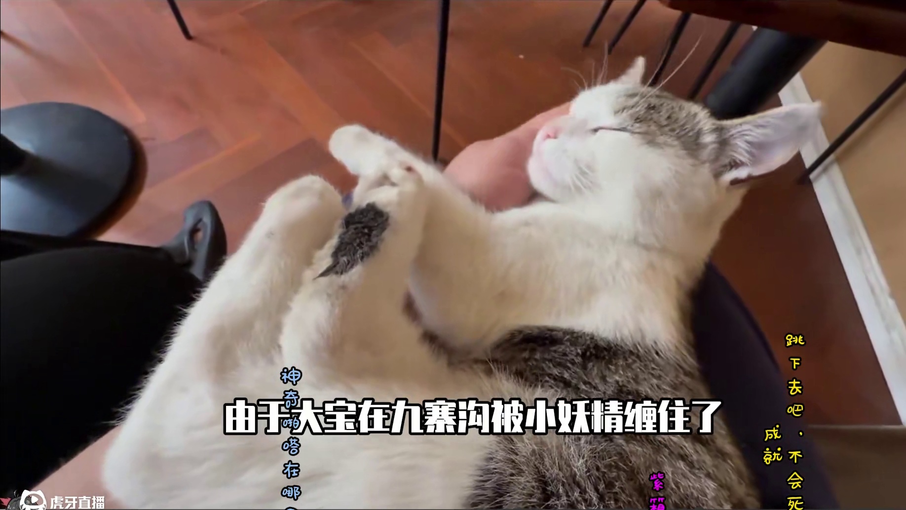 [鸣潮2.4]纪闻任务-纪闻任务-神奇啪嗒在哪里-1个紫色宝箱-包含成就:跳下去吧，不会死#鸣潮  