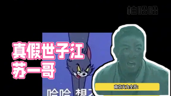 “世子之争”向来如此！到底谁才是真的江苏一哥呢？ #苏超联赛   #南京苏州   #江苏省会 #世子