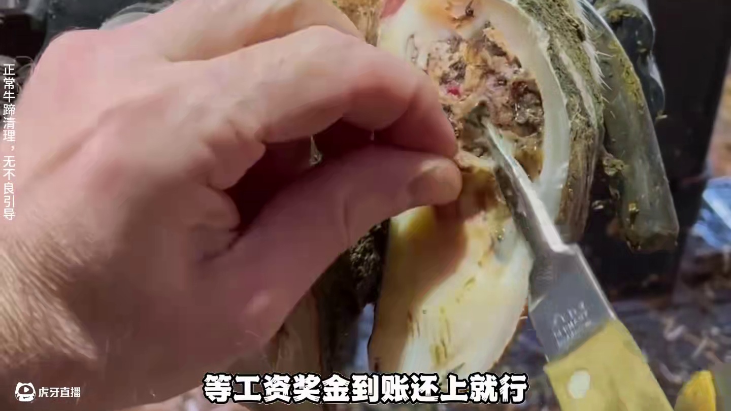 这绝对是你没见过的全新版本，整个蹄底都被剥离干净 #解压 #助眠 #修牛蹄