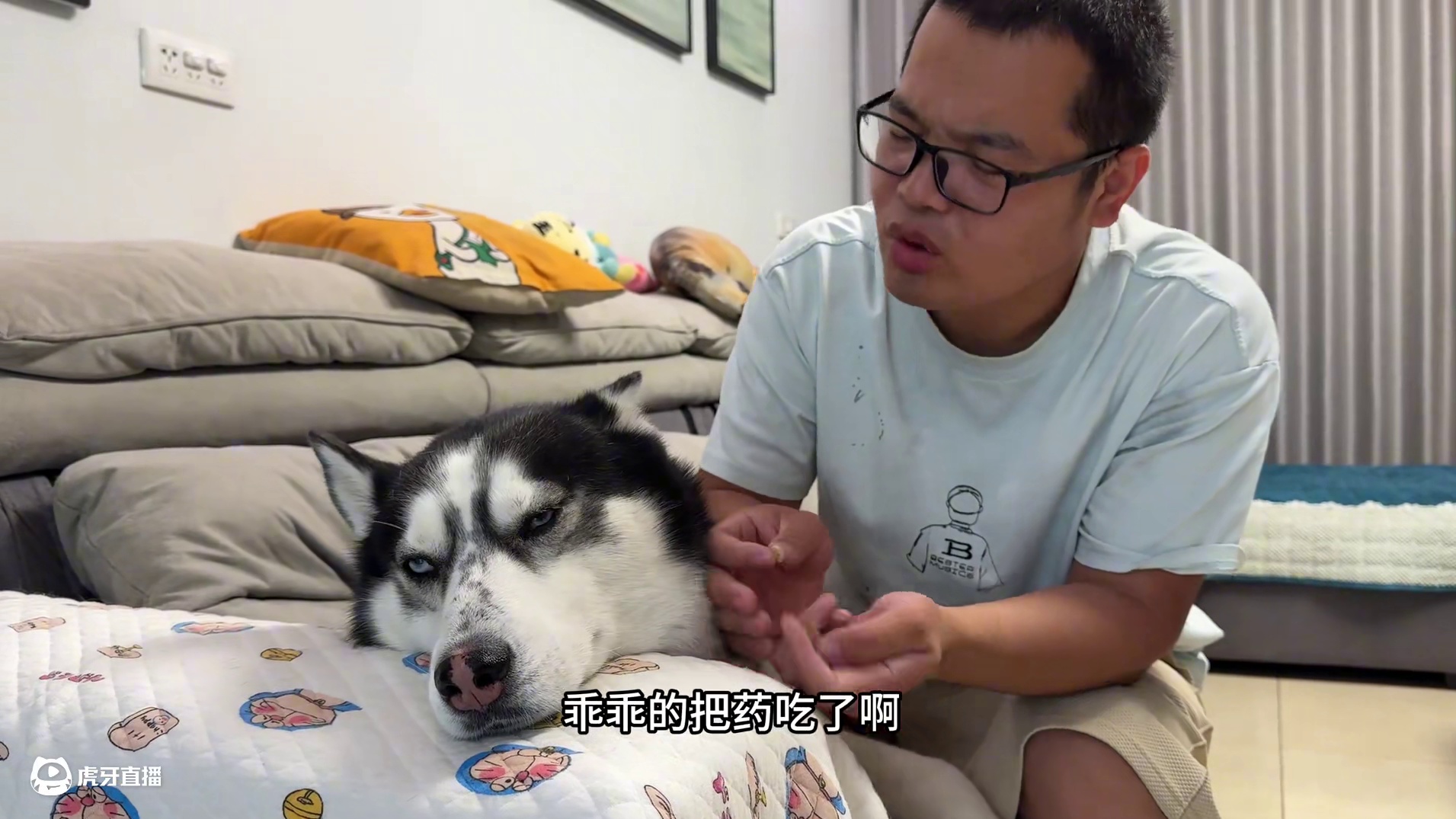 二哈死活不吃药，气得主人上去就是一巴掌，下一秒大家都憋住别笑 #动物的迷惑行为 #