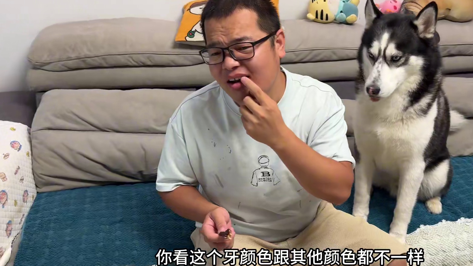 男主嫌弃肉干不好吃，没想到居然被二哈偷吃了，大家看完千万别笑 #萌宠推荐官 #动物