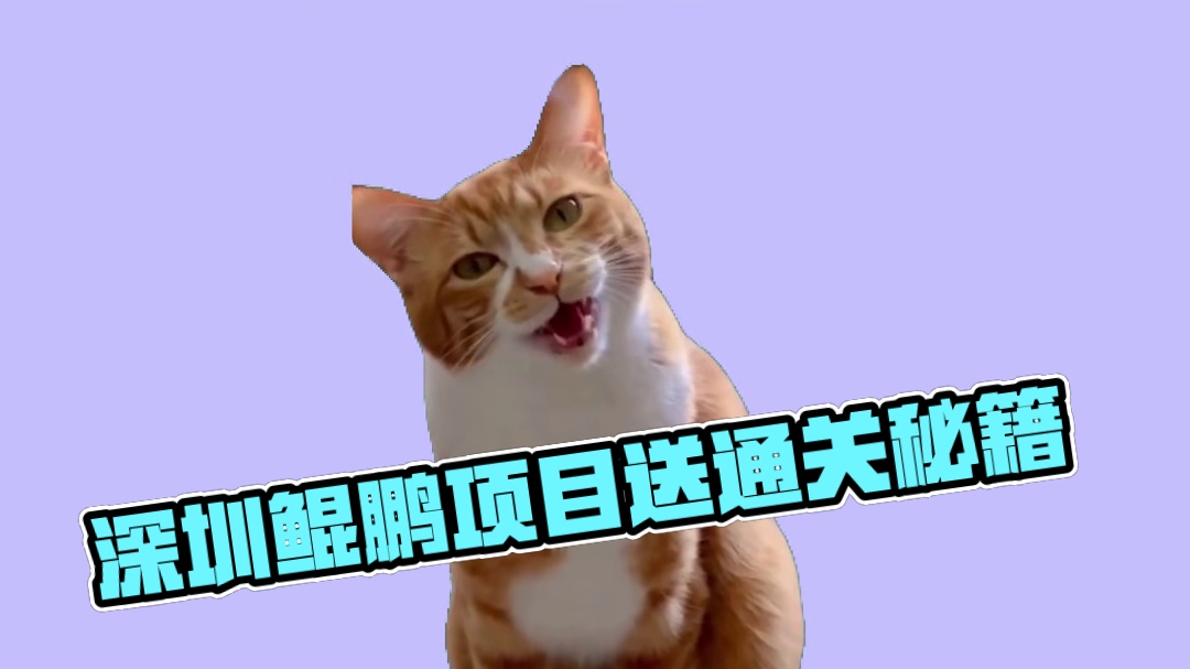 家人们！深圳鲲鹏项目来给青年创客们送 “通关秘籍” 啦！