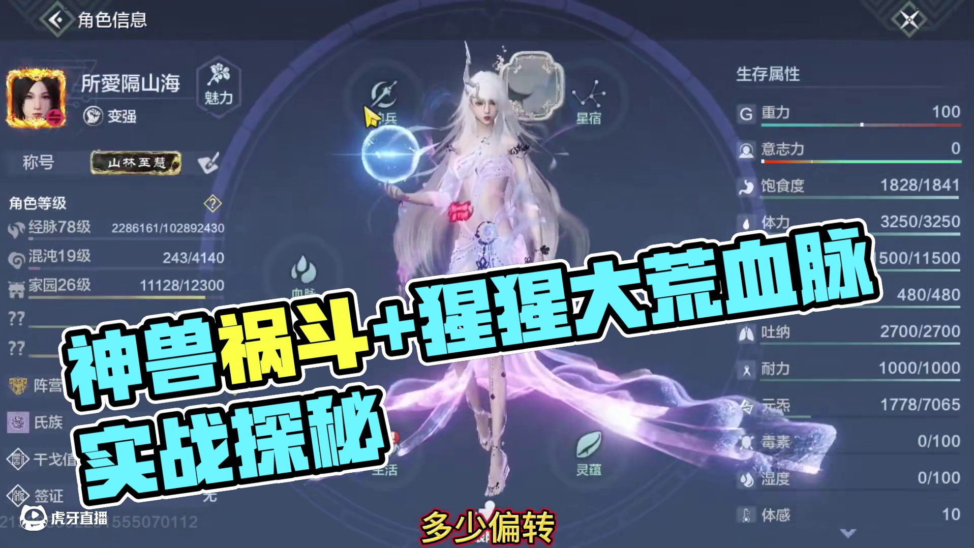 半新区榜6 神兽祸斗+猩猩 大荒血脉 单甲灵珠子 实战兵魂 词条