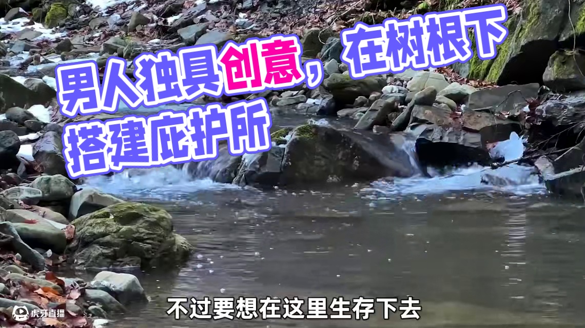 男人在树根下搭建庇护所，隐蔽性绝对拉满！ #原创视频 #上热门 #荒野生存 #上