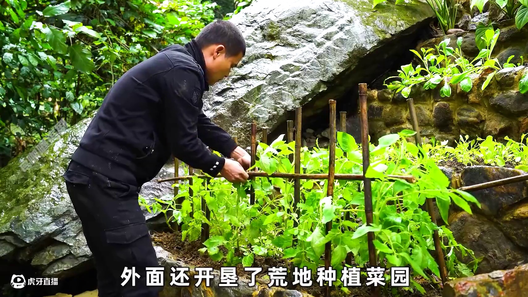 一口气看完国外牛人小黑在野外搭建几套巨石之家的全过程#荒野建造 #野外生存 #一剪到底 #解压助眠 