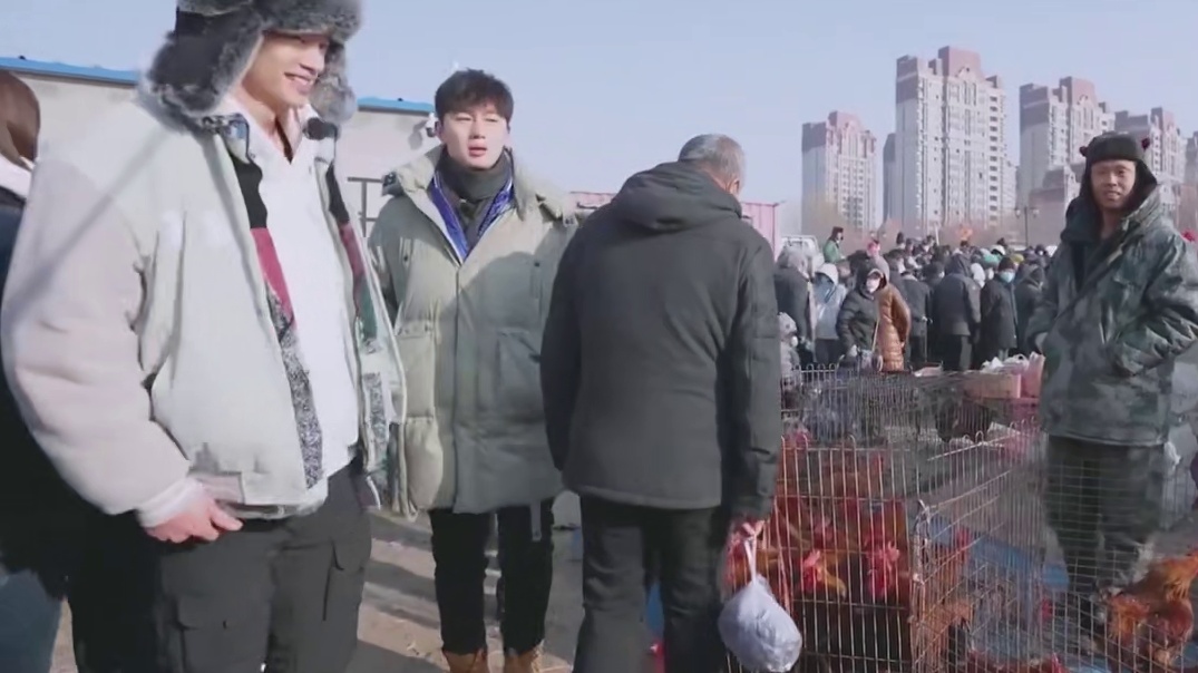 东北小伙子这么虎的吗？王虎拿10块的大酱和摊贩换150的大公鸡