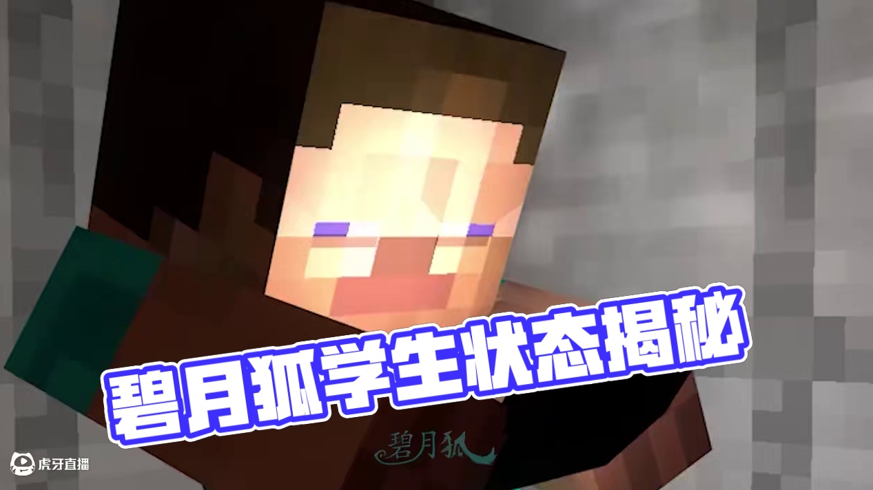 碧月狐：当代学生良好的精神状态 30.0 #我的世界 #碧月狐