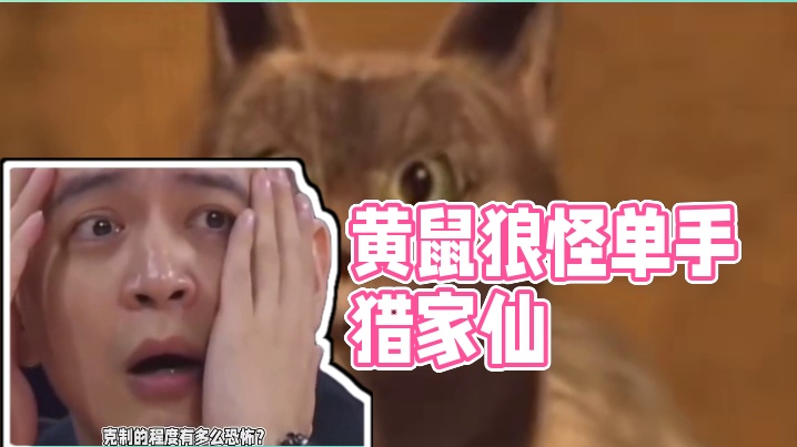 黄鼠狼怪不得被称做家仙