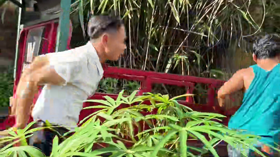 荔枝神仙吃法！荔枝虾滑、终于实现荔枝自由啦！ #荔枝的神仙吃法 #舌尖上的味道 #乡村美食 #农村生