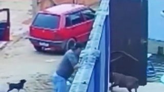 挺厲害了沒被咬到吧[捂臉]