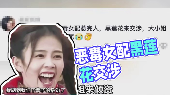 恶毒女配惹完人，黑莲花来交涉