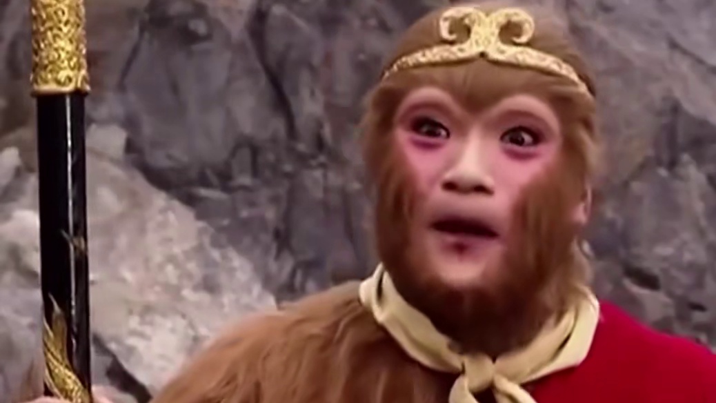 不得不感叹原来猴子文化也能传承的