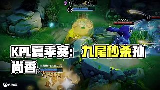 繼續(xù)加油加油#kpl #2025kpl夏季賽 #職業(yè)選手