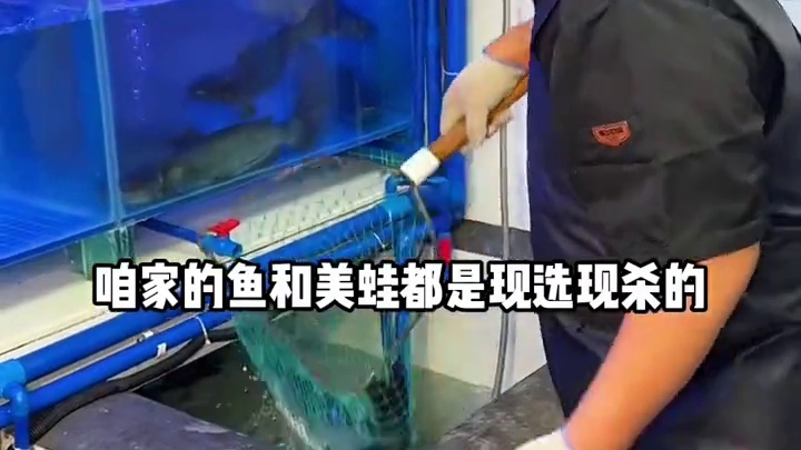 在余家寨也能吃到王宝器麻椒鱼了！#王宝器麻椒鱼大明宫黑金店 #心动榜餐厅 #老友惠生活 #甜甜三分甜