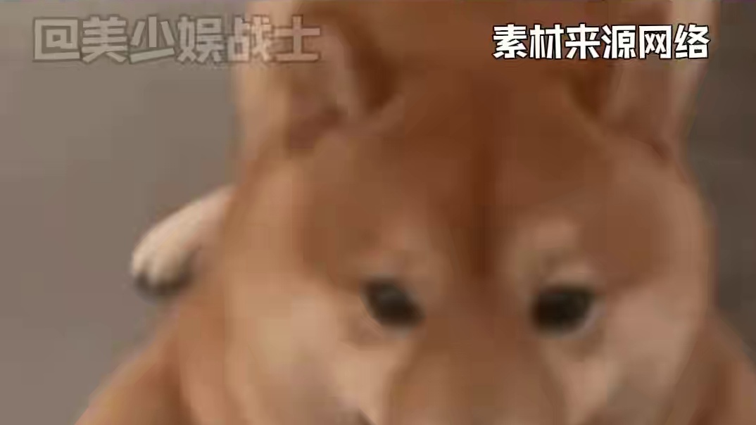 果然一方水土养一方人啊 #川渝男人 #山东 #舞蹈