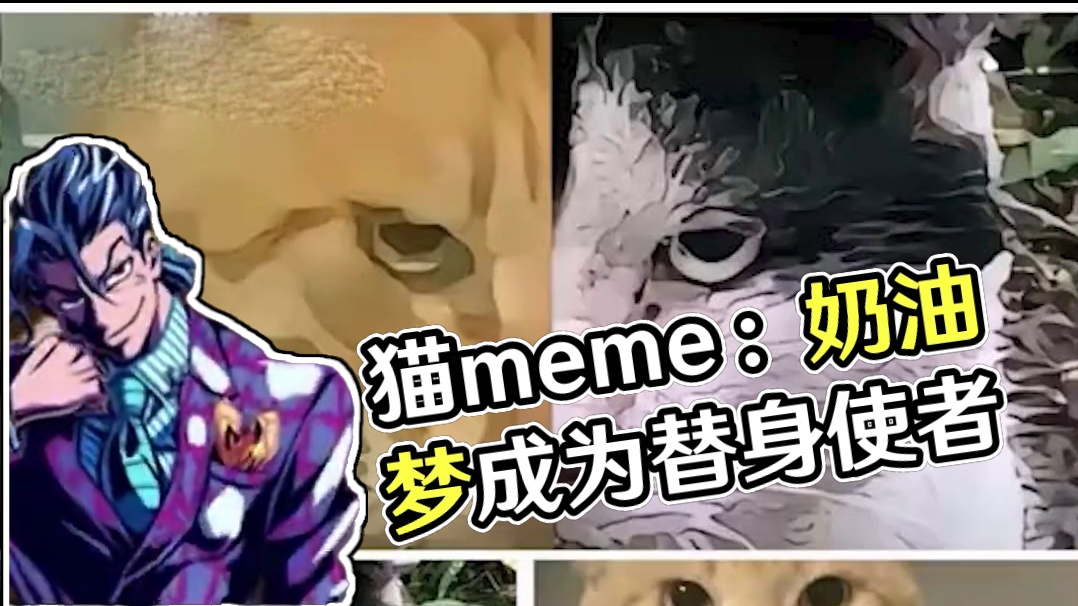 我的朋友，见到我你好像很吃惊的样子？ #猫meme  #圆头耄耋  #梗