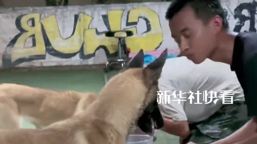 憋气比赛人偷偷作弊，狗子越看越觉得不对……