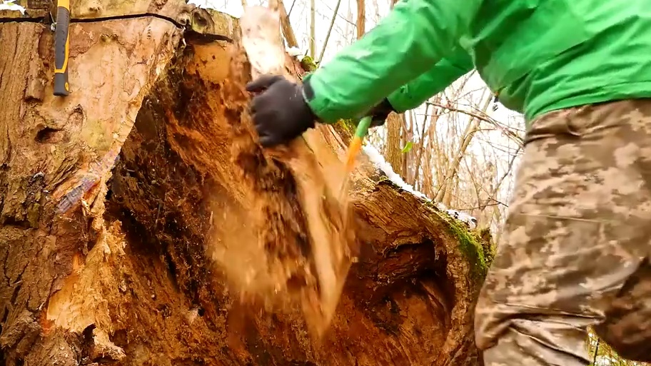 没想到一棵千年树桩居然能变成抵御野猪的庇护所#荒野建造 #野外生存 #真实户外 #野外建造