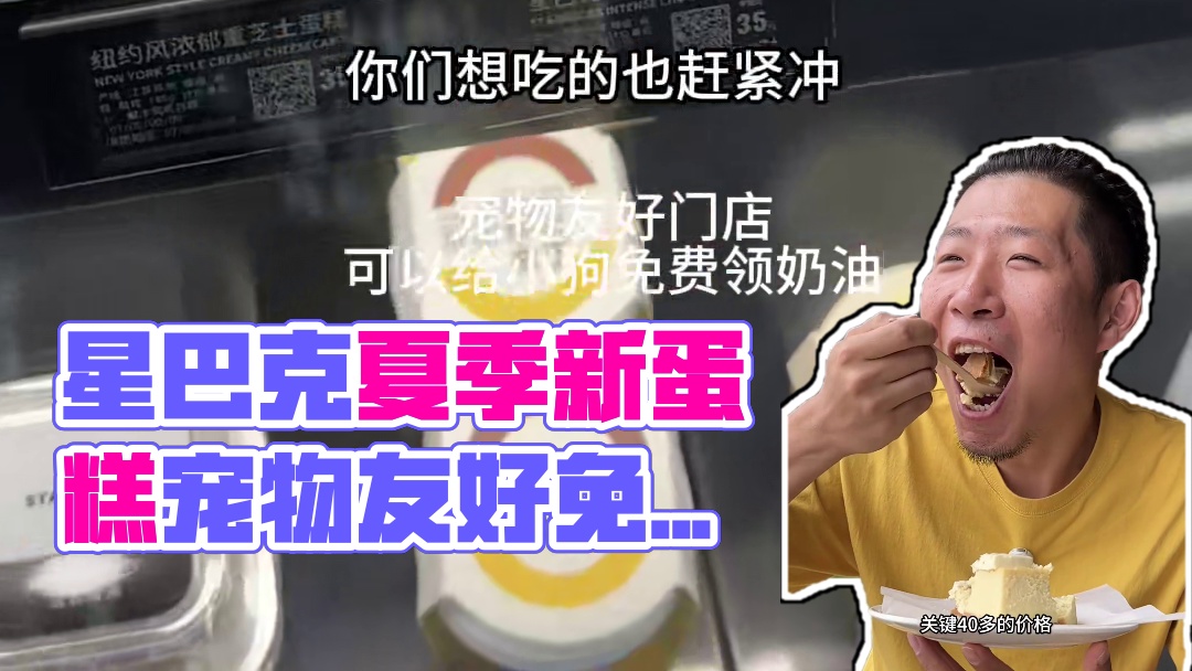 星巴克蛋糕提拉米苏，纽约芝士蛋糕，巧克力蛋糕暑期必吃蛋糕，宠物友好门店可以给小狗免费领奶油
#暑期必