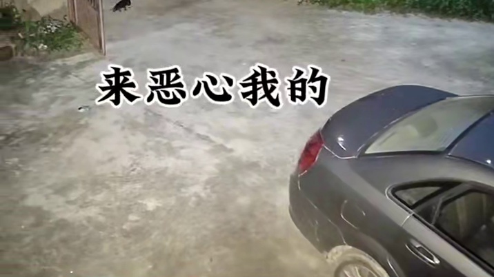 一个在人间荆棘中跋涉，一个在生死边缘挣扎，相互救赎的两个灵魂相遇了这怎么不算命定的缘分呢#温暖 #狗