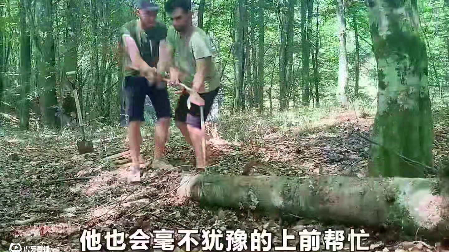 好兄弟收集上百根原木，在野外搭建双层木屋，露天厨房，现代淋浴 #解压 #野外建造 #原始技术