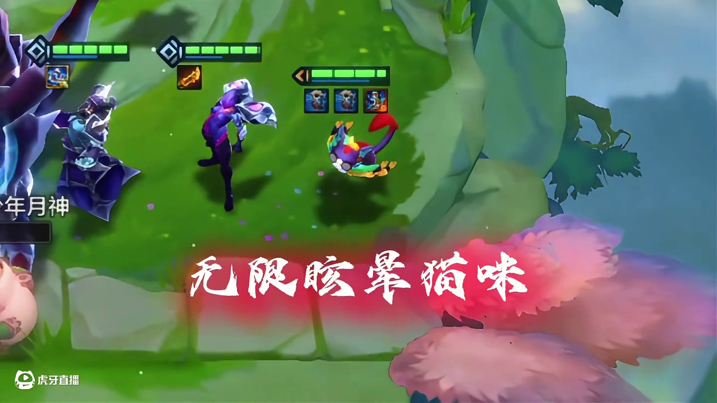 一星猫咪，这是怎么个事？！