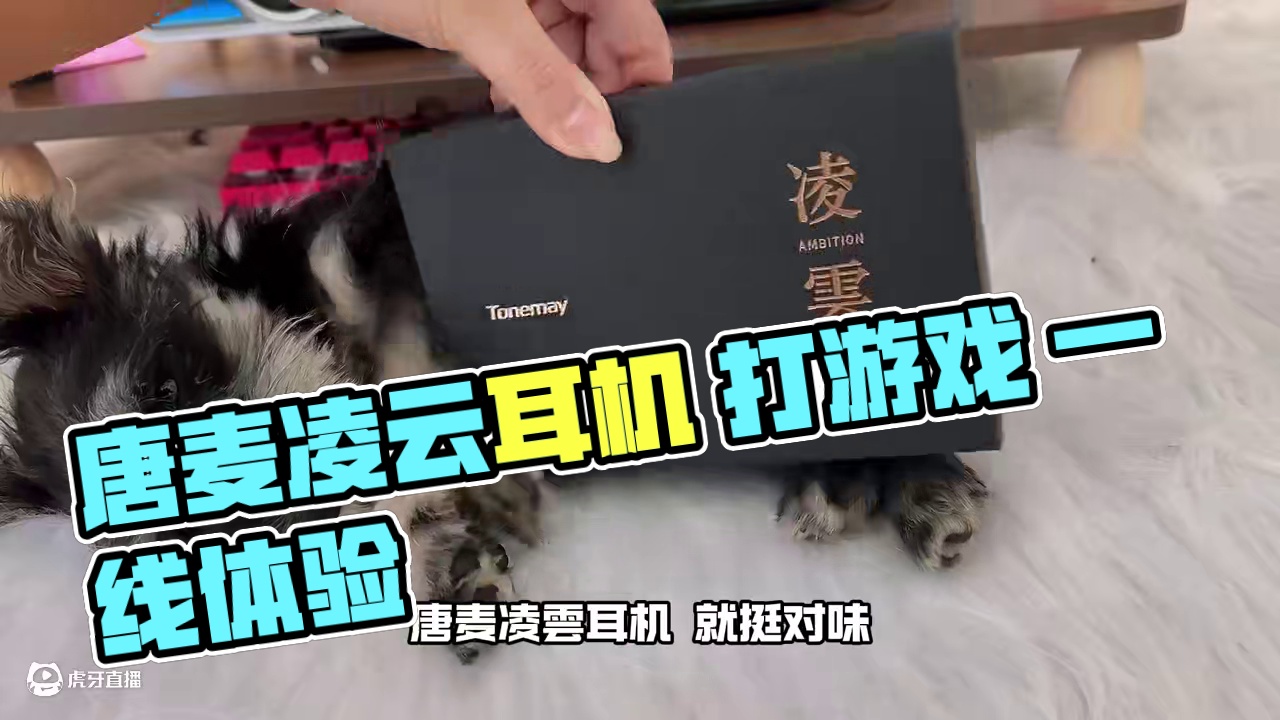 听歌打游戏 一副就对味 唐麦凌雲有线入耳式HiFi耳机 #唐麦 #唐麦凌云耳机 #入耳式耳机 #游戏