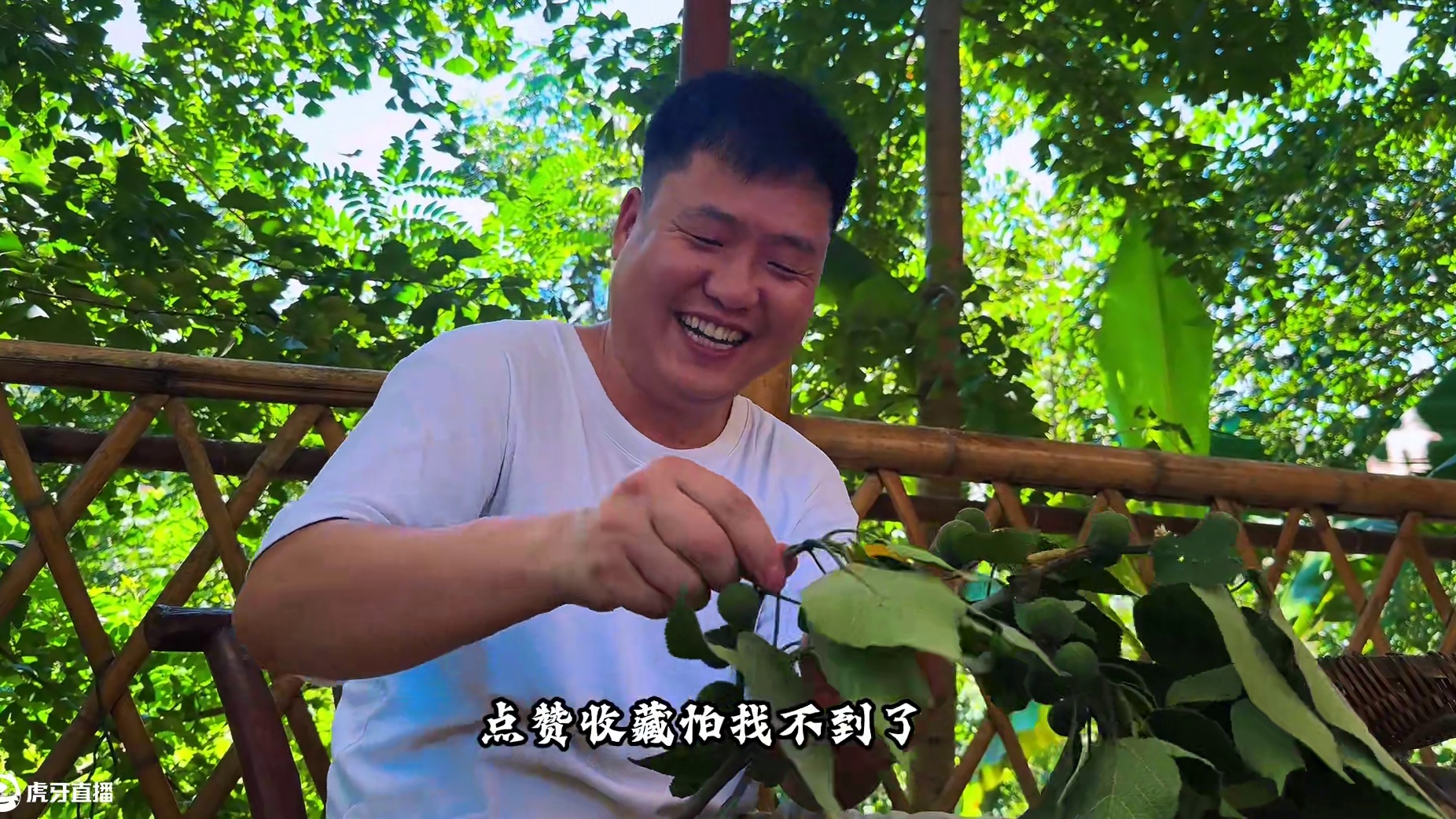 泡点构树酒，配上火爆鳝鱼，哥俩吃饱喝足真痛快！ #我的乡村生活 #下饭菜 #农村美食 