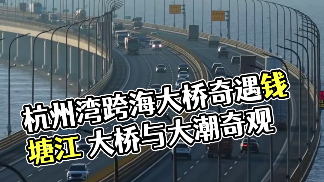 杭州湾跨海大桥如巨龙卧波 脚下正是世界奇观钱塘江大潮的入海口！当现代工程奇迹遇上自然界的万马奔腾，这