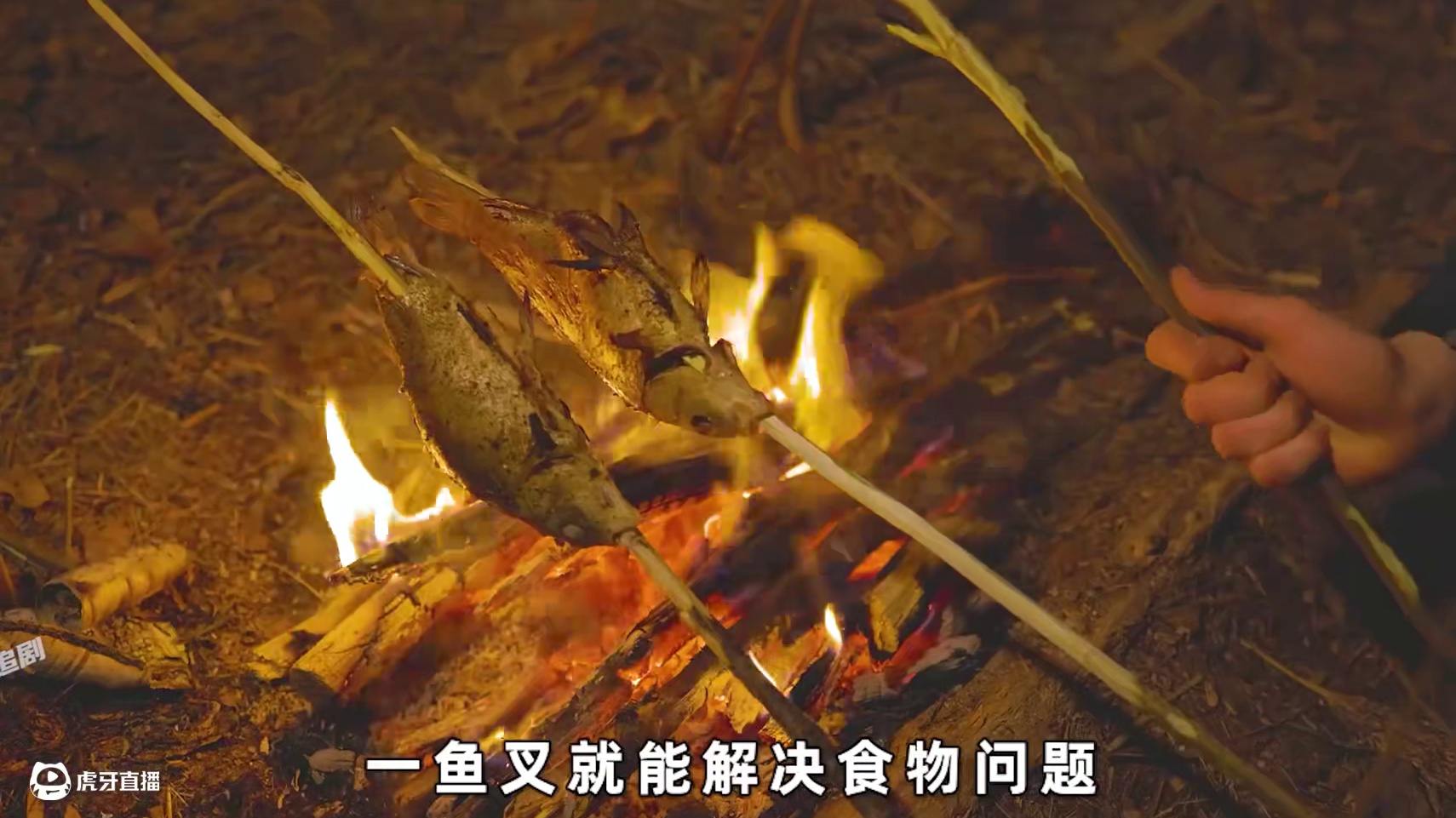 一口气看完国外牛人阿张在野外搭建各种奇特庇护所的全过程#荒野建造 #野外生存 #一剪到底 #解压助眠