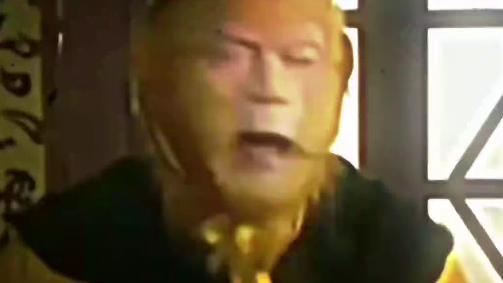 受雇给运动员递毛巾的猴子