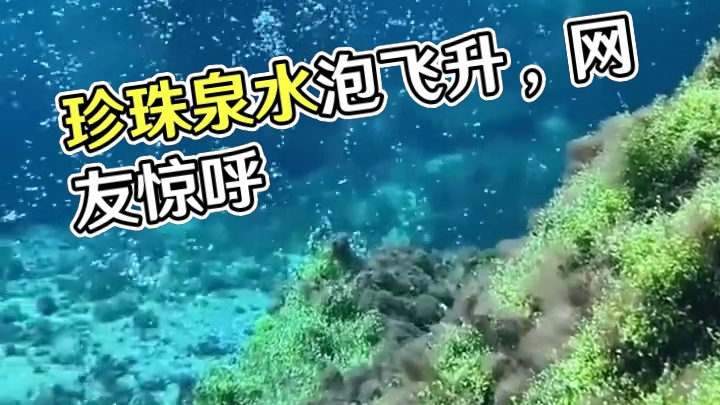 当游客把手机放入珍珠泉中，一串串水泡如珍珠般向上飞升，网友：难怪叫这个名