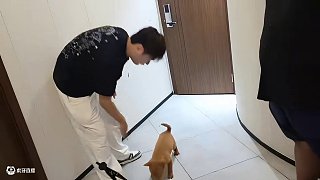 【小酷】虎糧：母老虎 嚇死老子了