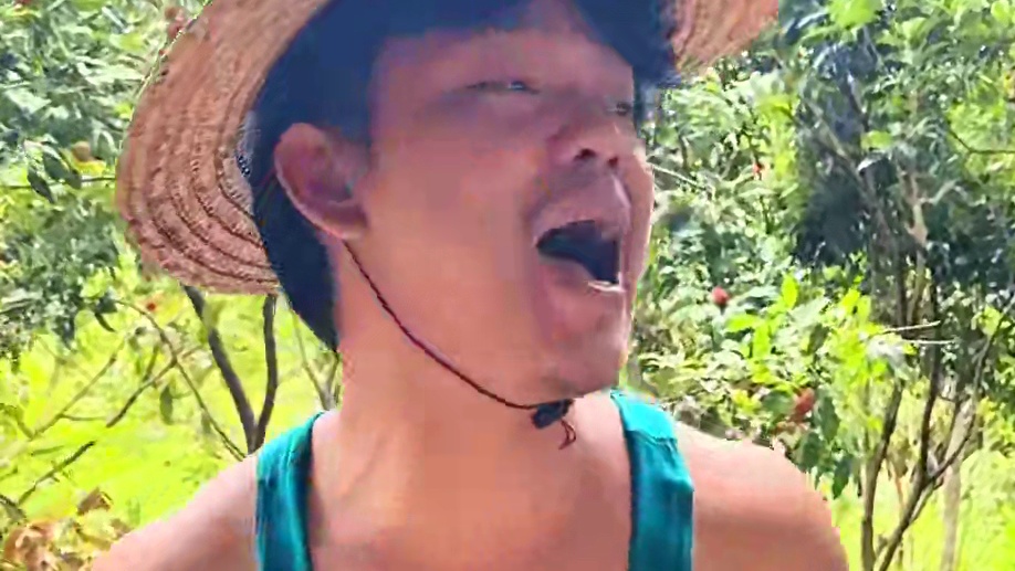 山村厨神小当家 ！红烧乳鸽外酥里嫩 鲜美多汁 真是美味至极 #农村美食#农村生活#红烧乳鸽#舌尖上的