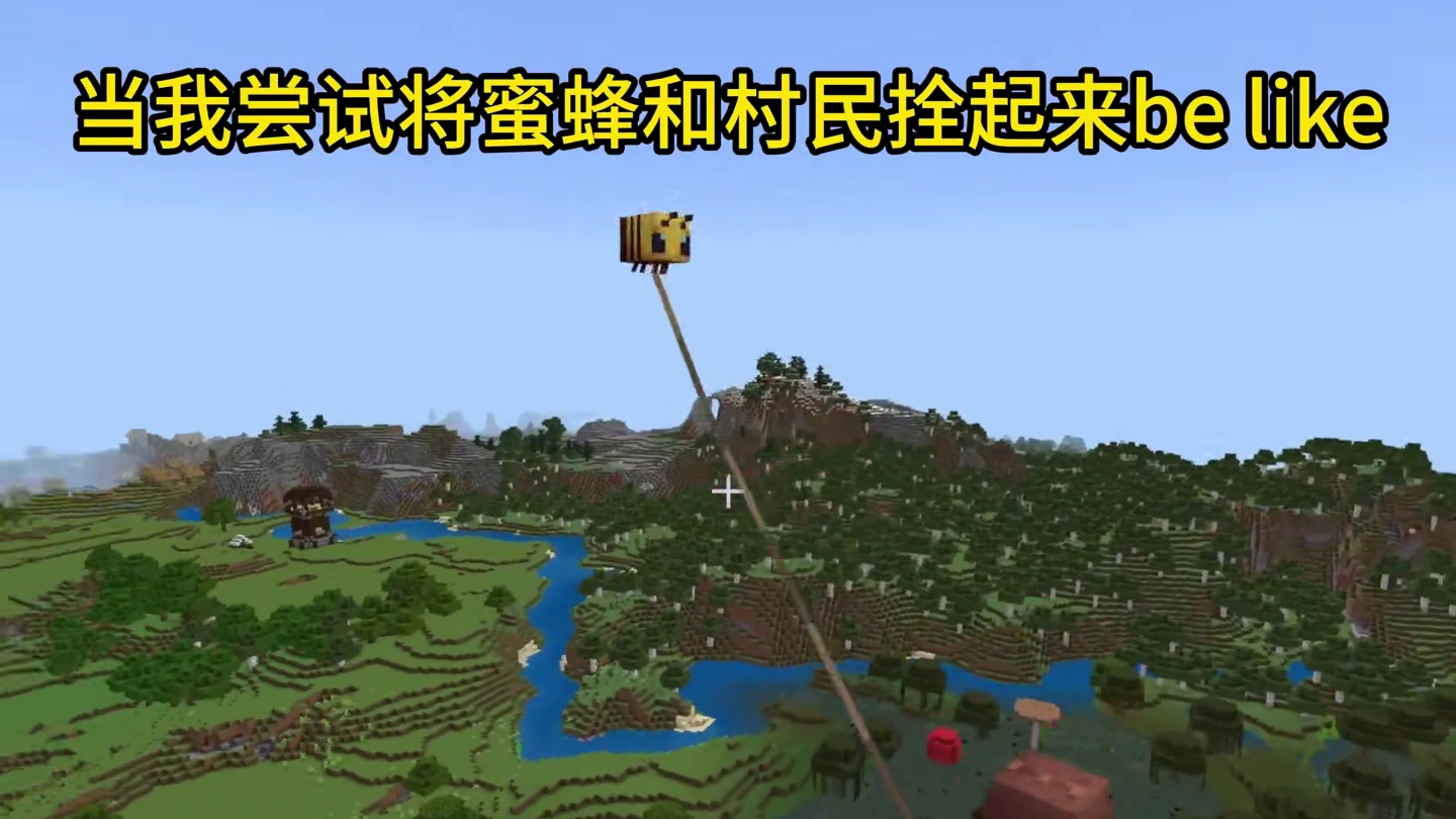 我的世界：当我尝试将蜜蜂和村民拴起来be like#我的世界 #mc不灭 #mc