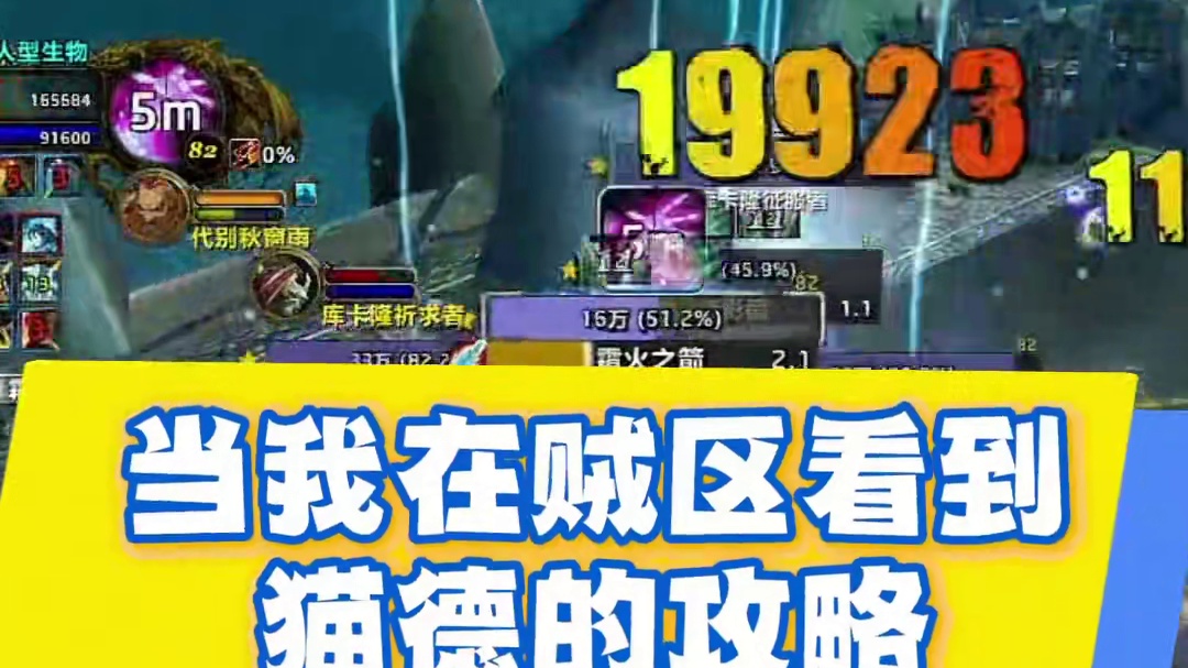 盗贼的出路！当我在盗贼区看到了猫德攻略！#我的魔兽日常 #魔兽世界