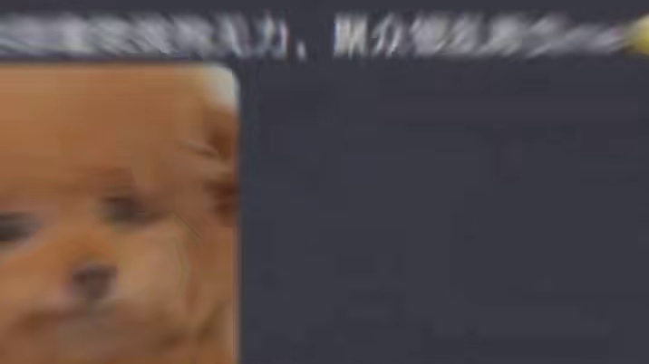 好家伙 第一次从狗狗眼里看到无奈