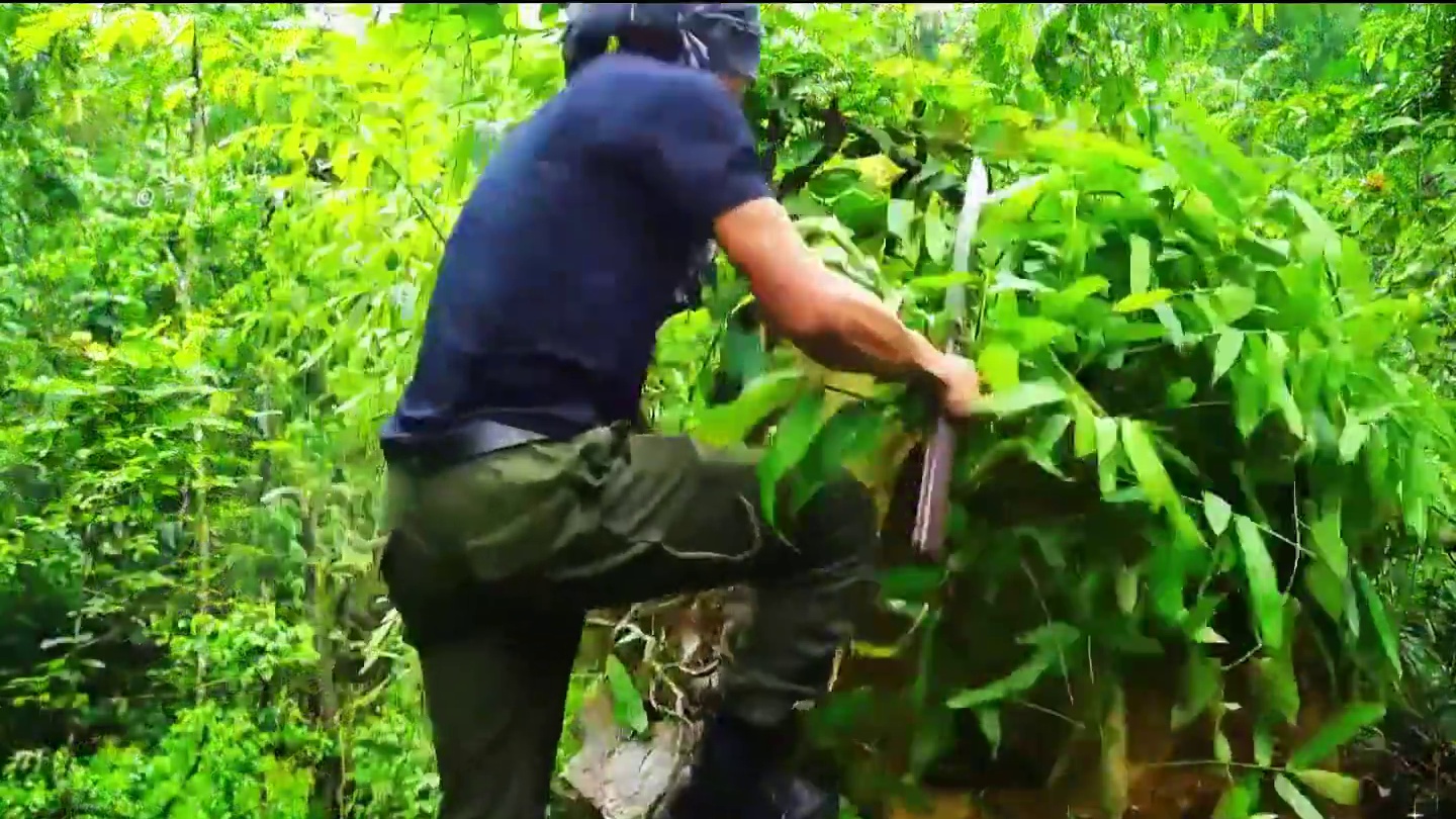 这是我见过最奇幻的庇护所，他的建造方式十分独特！ #野外建造 #解压 #荒野建造