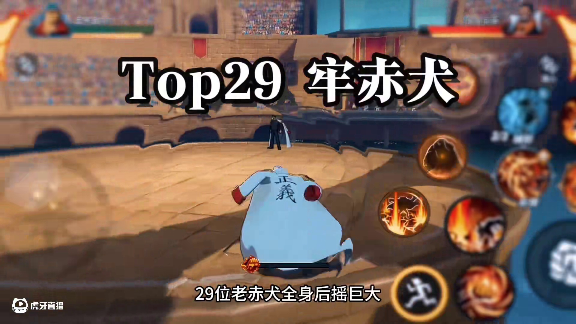 初心自选角色梯度排行！看看你都喜欢谁#航海王热血航线 #航海王壮志雄心 #格斗游戏