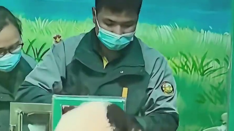 妹猪：没什么别的爱好，就爱翻点窗