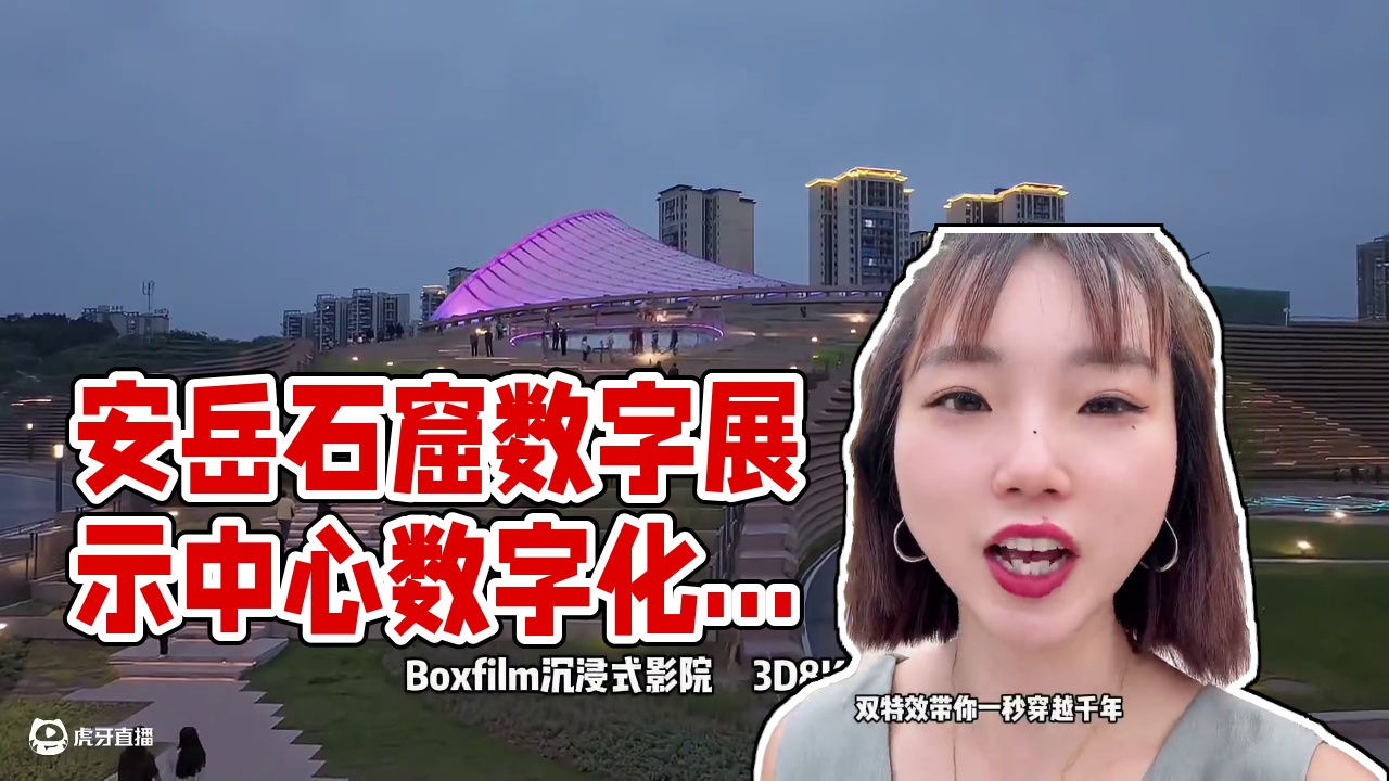 #安岳石窟数字展示中心#安岳石窟#山岳颂安