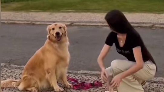 世上还是好人多啊