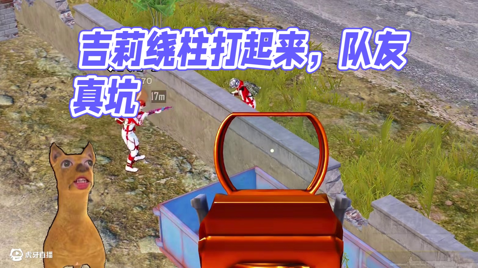 哈哈哈俩吉莉打起来了