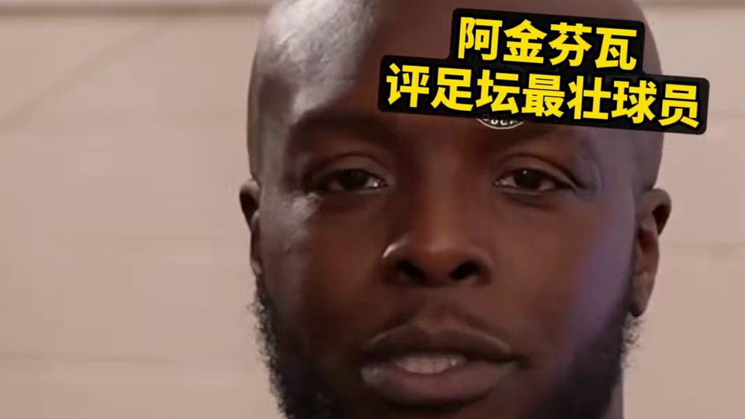阿金芬瓦评足坛最壮球员 #伊布  #胡尔克  #特拉奥雷 #德罗巴  #坎贝尔  #伊万诺维奇 #卢