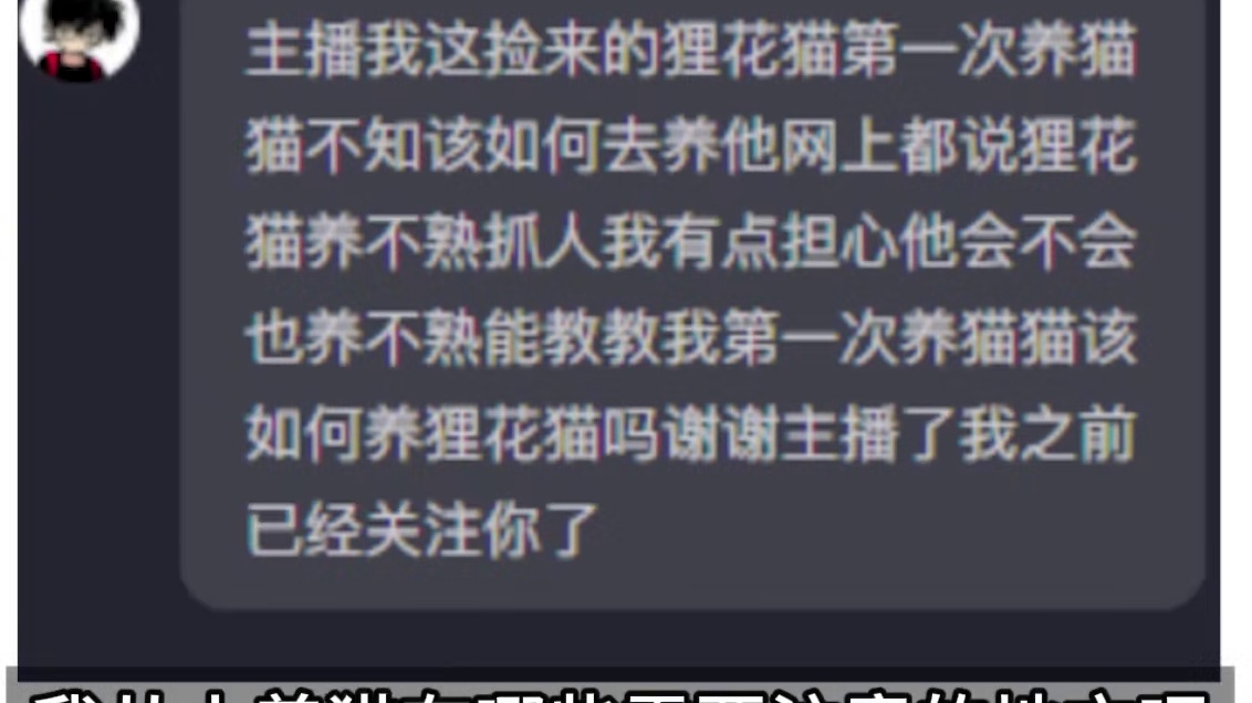 新猫如何养？这五点配置好就行 #猫memes#搞笑视频#搞笑动画#猫咪的迷惑行为 #猫咪日常