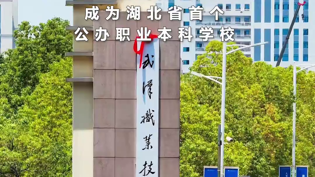 2025年7月9日，武汉职业技术大学正式揭牌 成为湖北省首个公办职业本科学校 #武汉 #光谷 #武汉