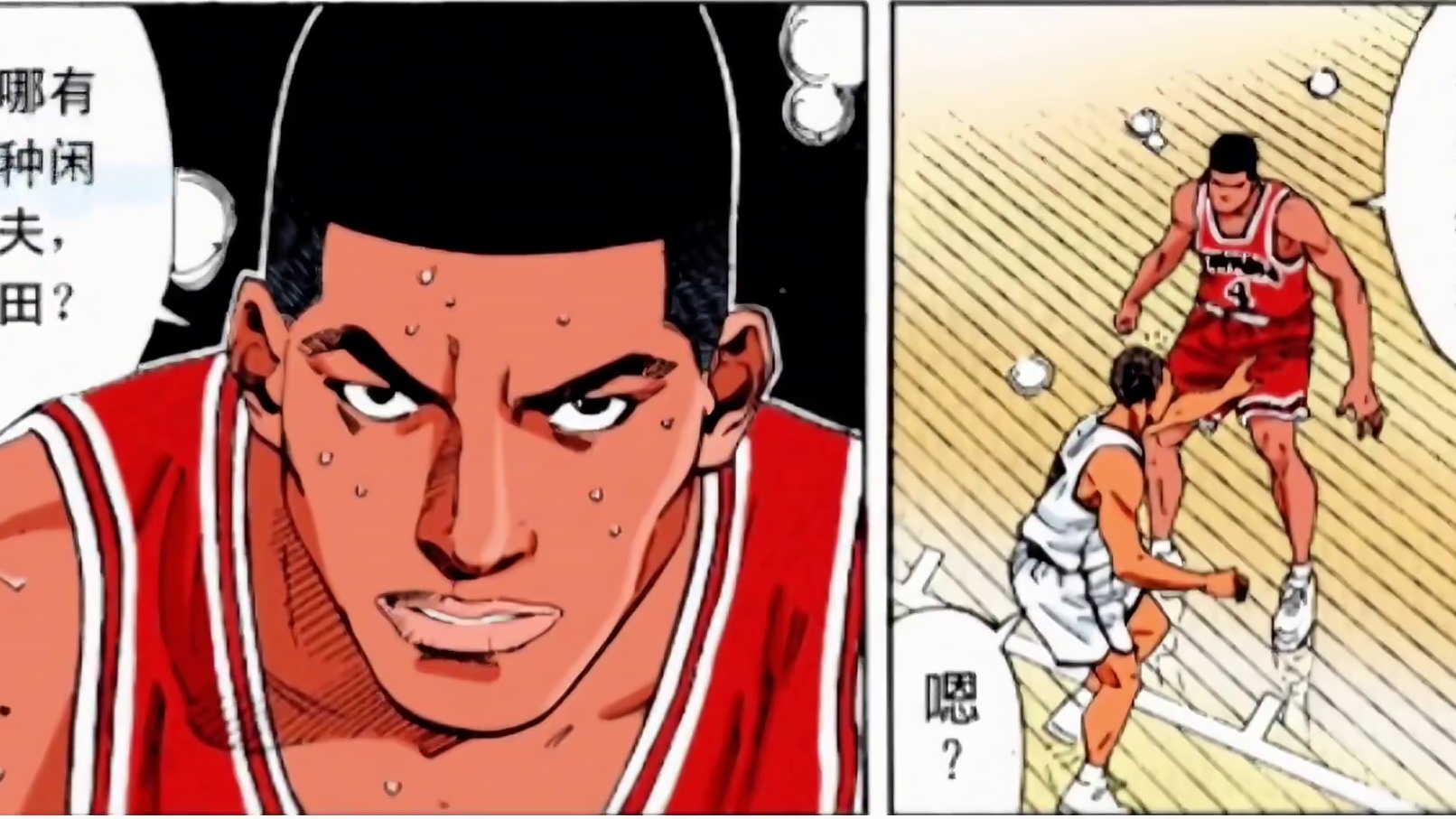 小河田260斤，飞天小胖猪