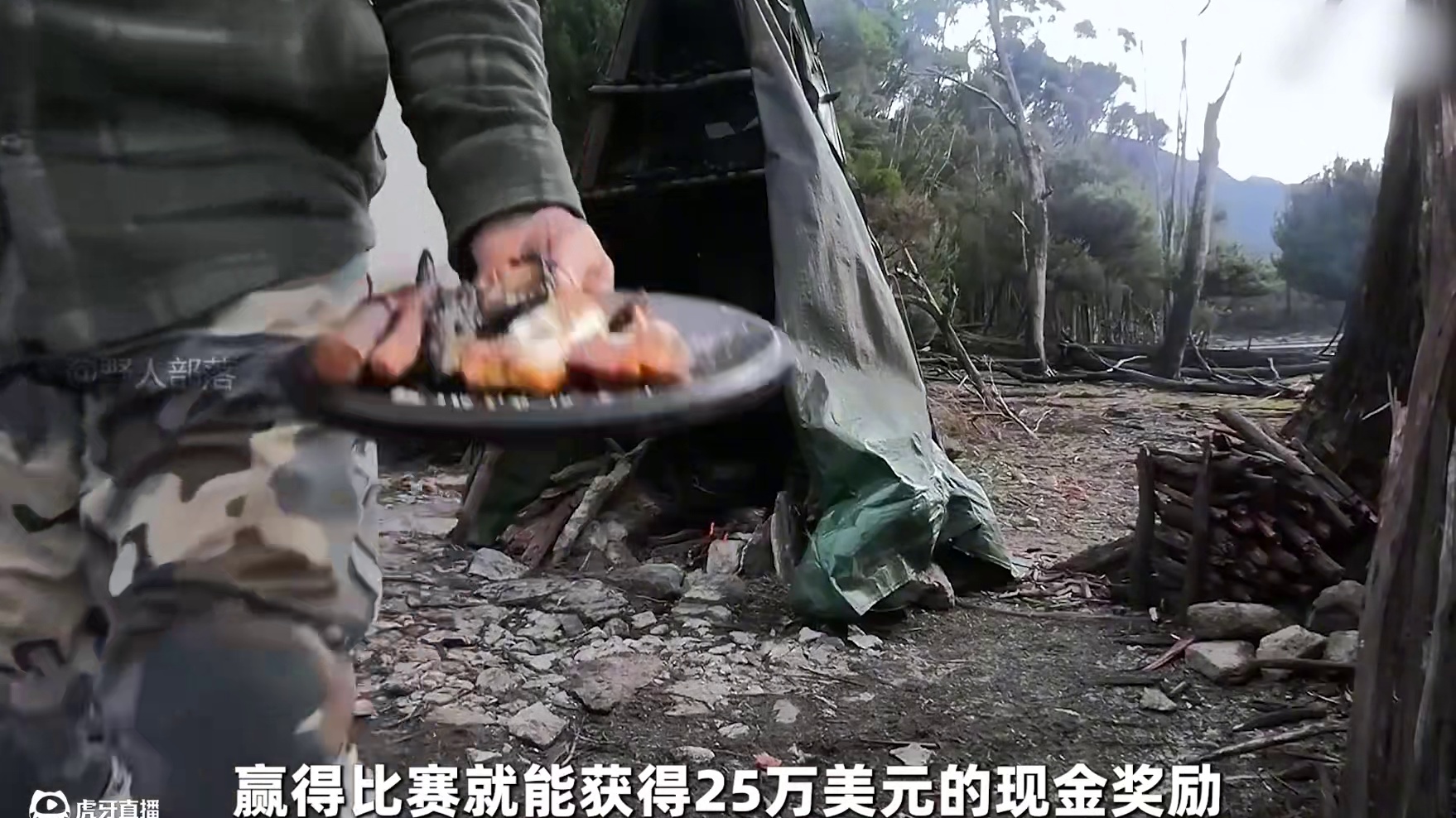 荒野独居澳洲版选手实力不容小觑，开局就有大佬实现鱼肉自由 #荒野独居 #野外生存 #荒野求生 #户外