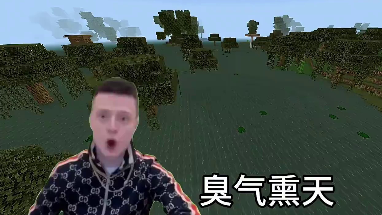 #我的世界 #MC 当我在MC想找个地方建房子时！#Minecraft
