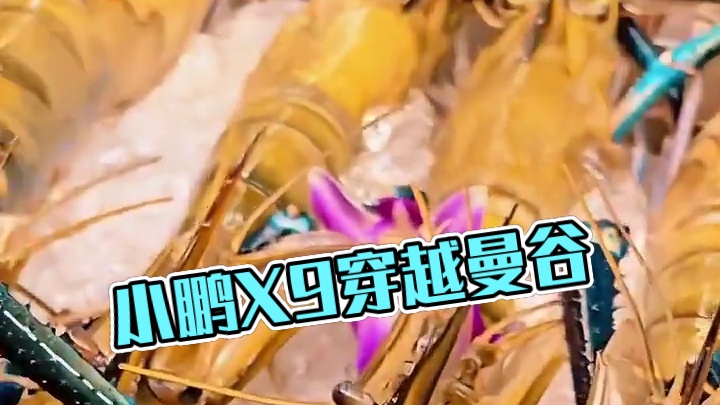 科技南游记第七程，抵达曼谷。周末了，也该补补了。#小鹏车主开着X9首次穿越东南亚